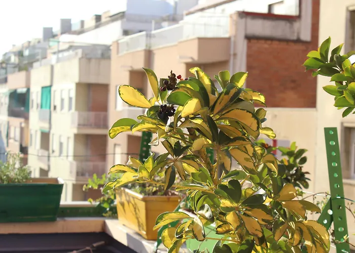 Onefam Sants Albergue Barcelona