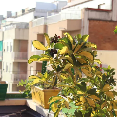 Onefam Sants 旅馆 巴塞罗那